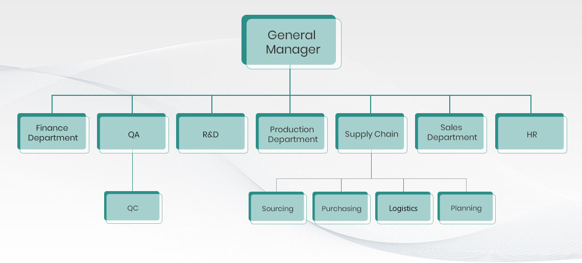 Organigramm