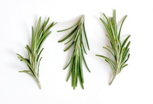 rosemary extract-Ruiwo