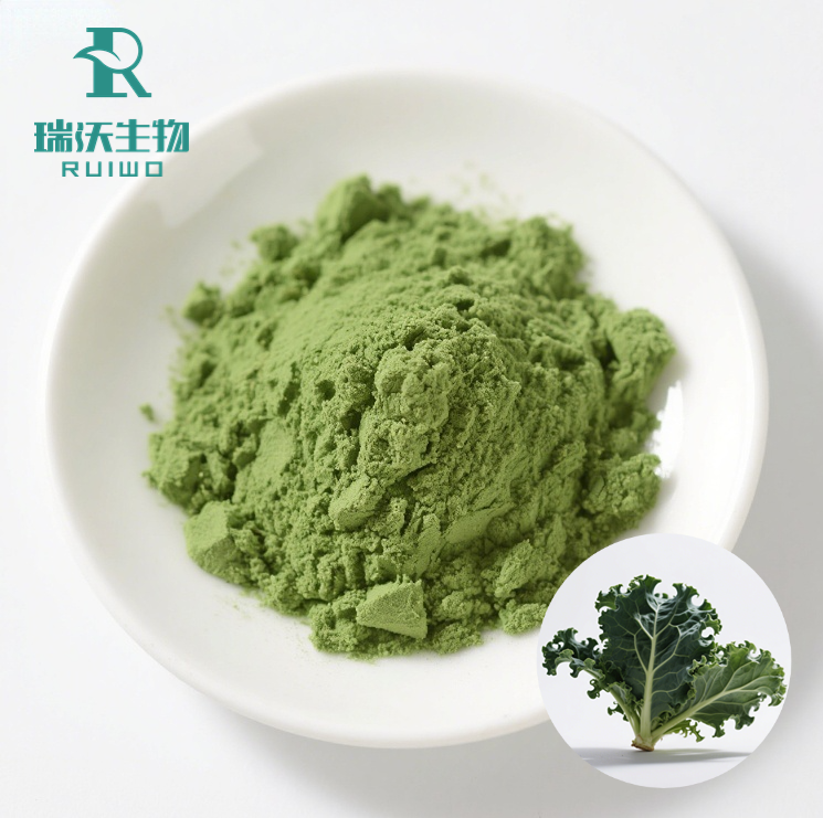 羽衣甘蓝 (2)