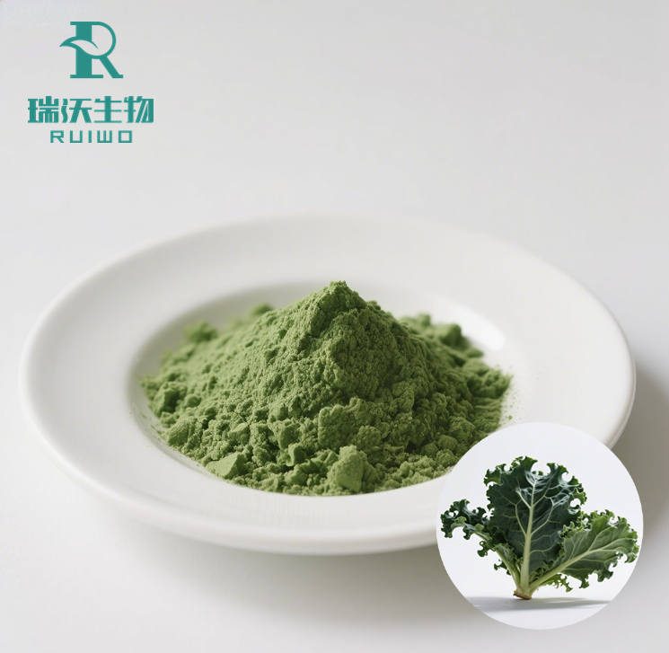羽衣甘蓝 (3)