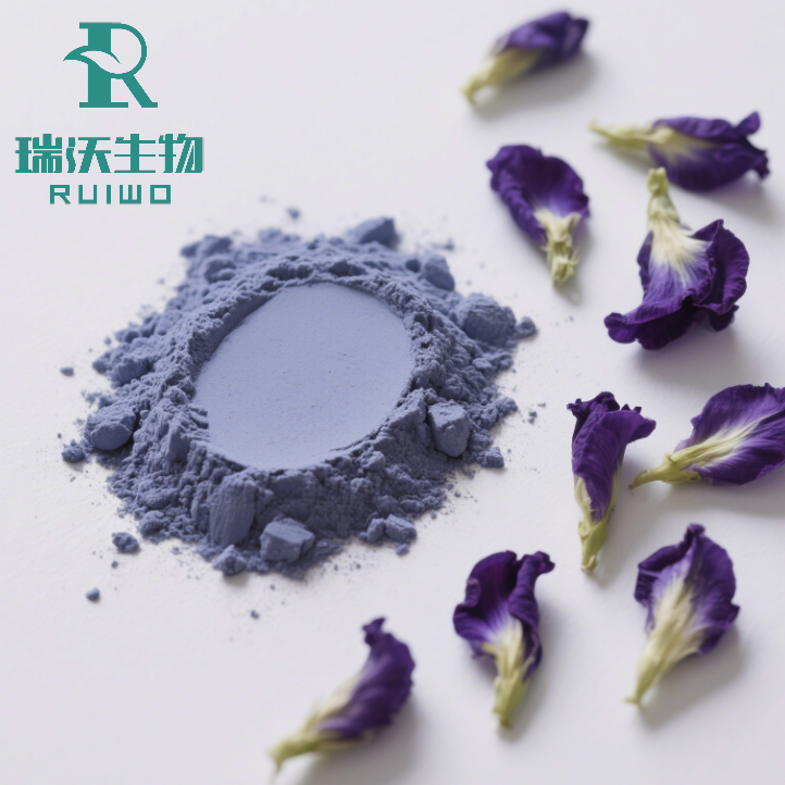 蝶豆花 (11)