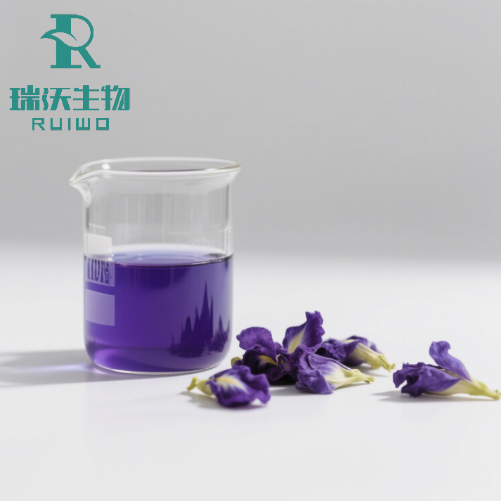 蝶豆花 (2)