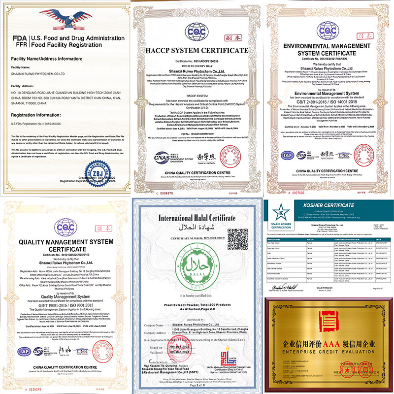 certification-Ruiwo