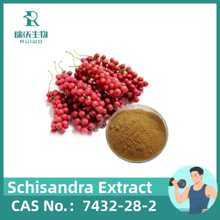 Mitochondrial Support: Schisandra Extract