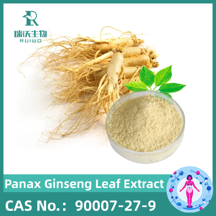 Cellular Vitality: Panax Ginseng Leaf Extract