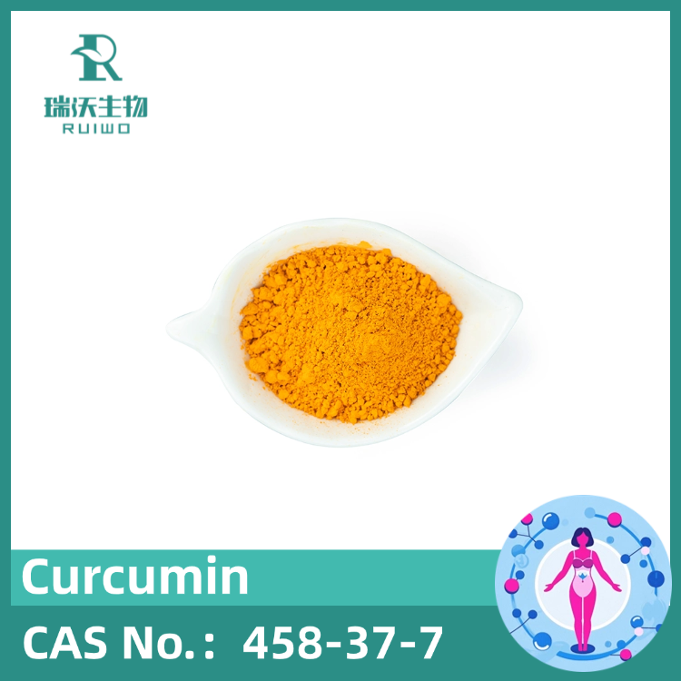 Professional Factory Supply Nano Curcumin Powder