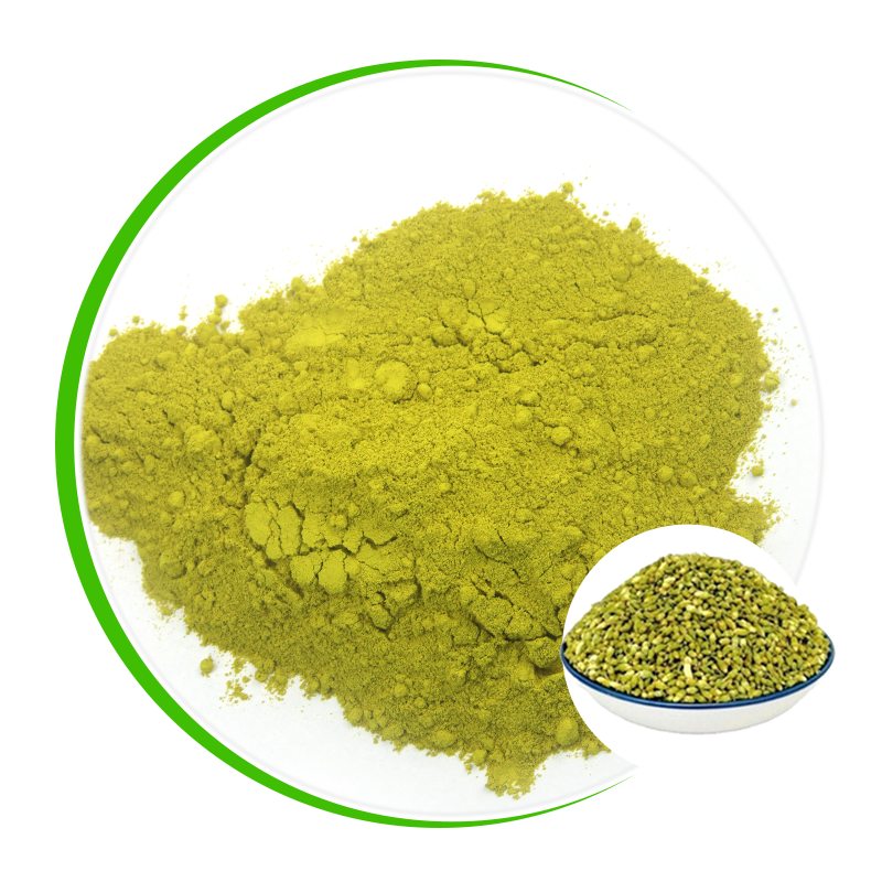 100% NATURAL SOPHORA JAPONICA EXTRACT, QUERCETIN POWDER 95% factory and manufacturers | 100% NATURAL SOPHORA JAPONICA EXTRACT, QUERCETIN POWDER 95% factory and manufacturers |