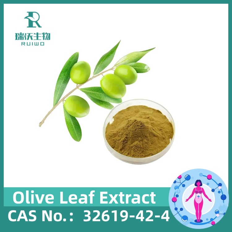 Premium Olive Leaf Extract