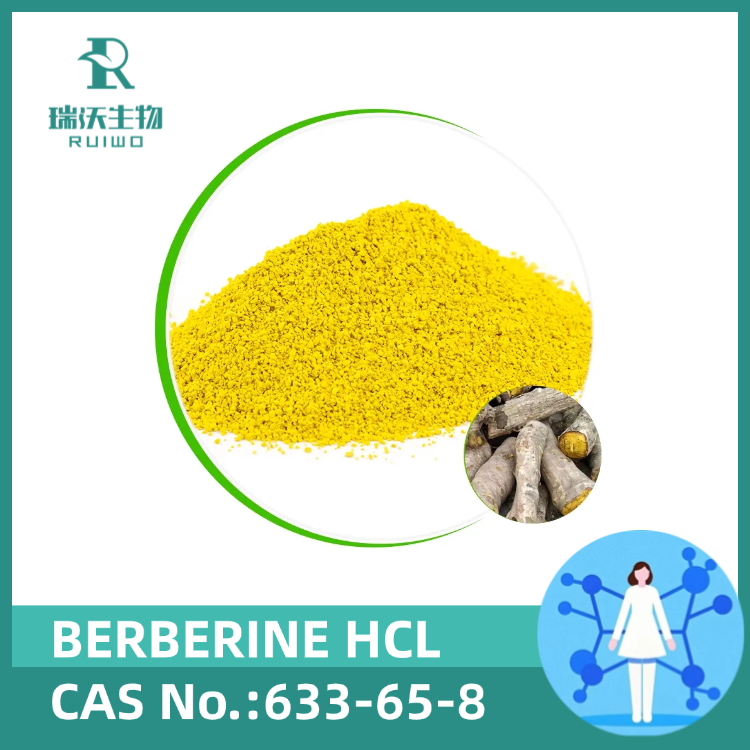 Berberine HCL 97%