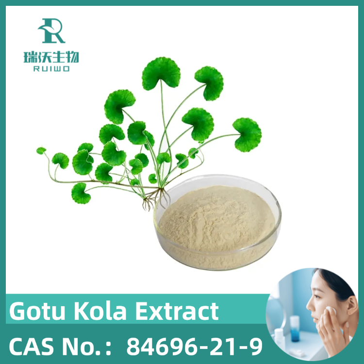 Microcirculation Booster: Gotu Kola Extract