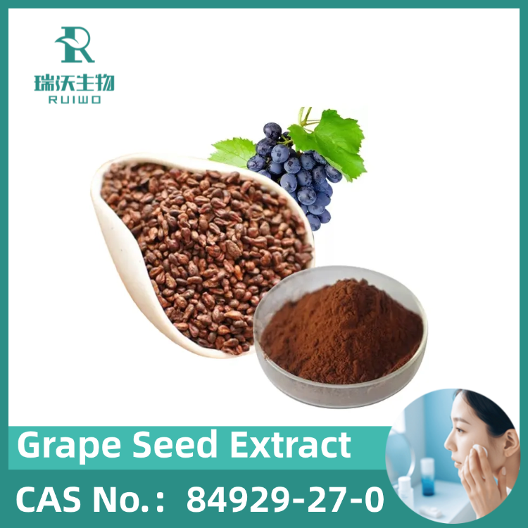 Grape Seed Extract