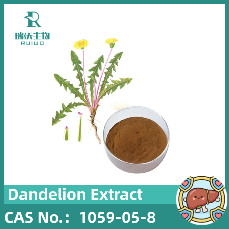 Dandelion Extract