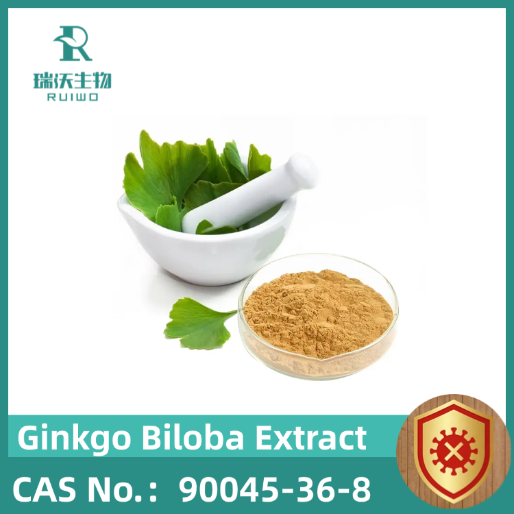 Cognitive & Cardiovascular Synergy: Ginkgo Biloba Extract