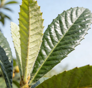 38c9302d76558677ea63001601c0e6f9