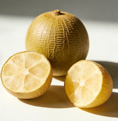 3bdcb523-1ed8-46f3-919e-df814aa42661