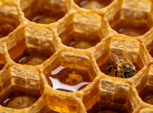 565ade66-c9b0-4f08-8ca9-617bc1c72684