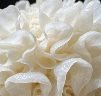 65e4fb4c-3184-4fd2-85c5-347225d394c2