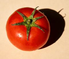 8a2942aa-a21b-4f5b-8e3e-b628710dee5d