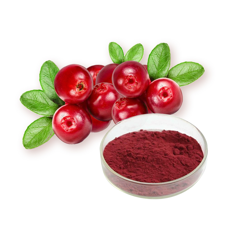 China Cranberry extract factory and manufacturers Ruiwo