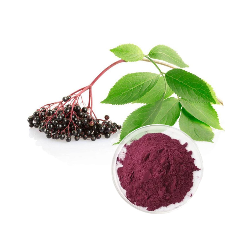 Elderberry Extract-Ruiwo