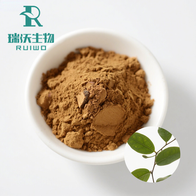 Gymnema Sylvestre Extract Powder武靴藤
