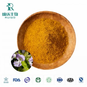 Ocimum Tenuiflorum Extract