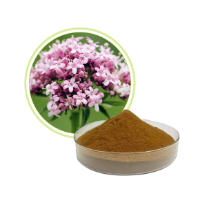 Valerian Root Extract Powder缬草