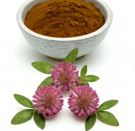 b088dc3f-d304-487b-a000-ec2a5e9d894a