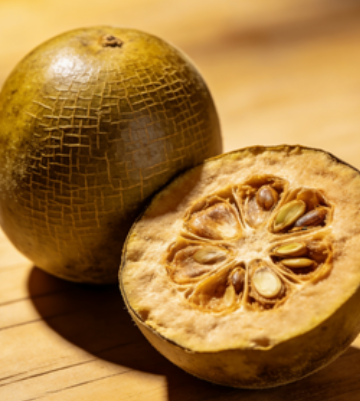 b6a48111-086c-4435-8ce2-a163cf842100