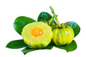 Garcinia Cambogia Extract