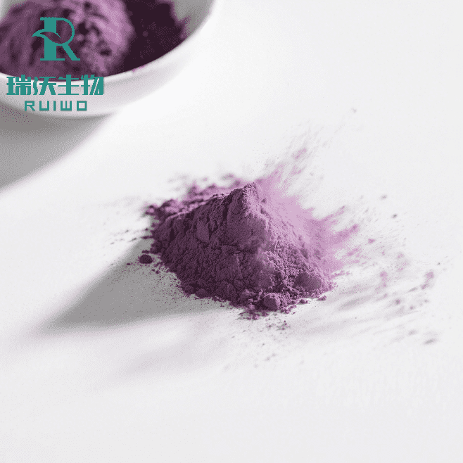 ube (1)_new
