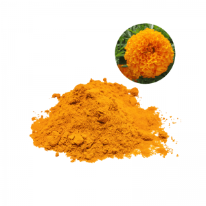 万寿菊提取物(叶黄素)_new