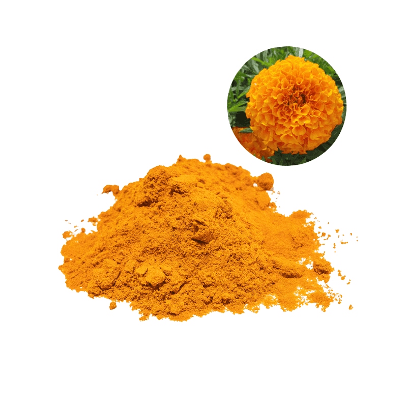 万寿菊提取物(叶黄素)_new