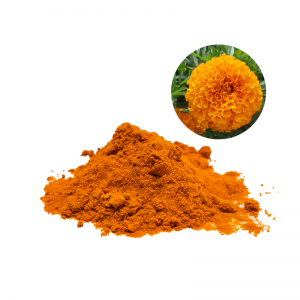 万寿菊提取物(玉米黄质)