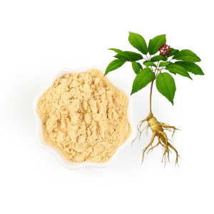 人参根提取物2 拷贝 13