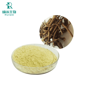 卡瓦提取物1_new