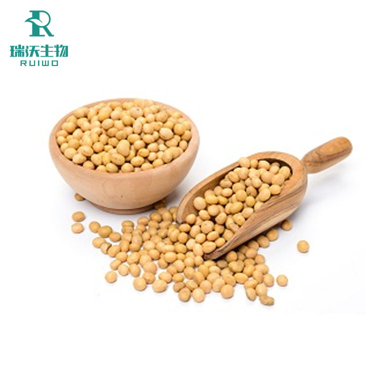 大豆提取物2