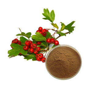 山楂叶提取物