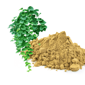 常春藤提取物1 拷贝 15_new