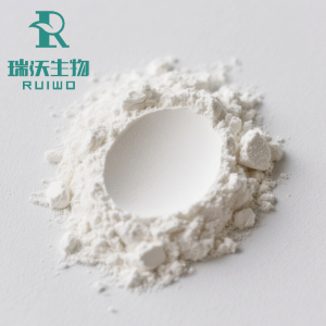 微信图片_20250529101043