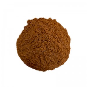 Cinnamon bark extract-Ruiwo