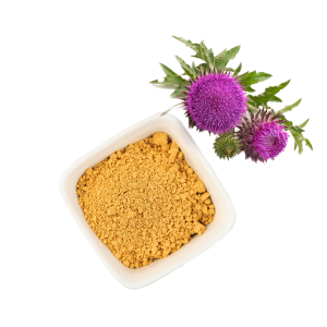 水飞蓟提取物1 拷贝 9