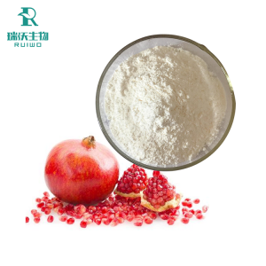 石榴皮提取物2