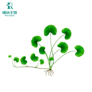 积雪草提取物3