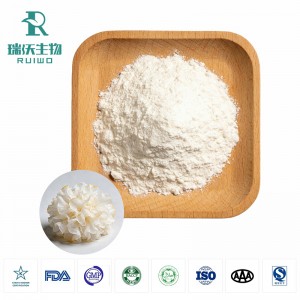 银耳Tremella Fuciformis Extract Powder